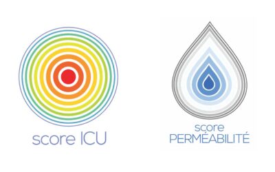 Score ICU et Score perméabilité